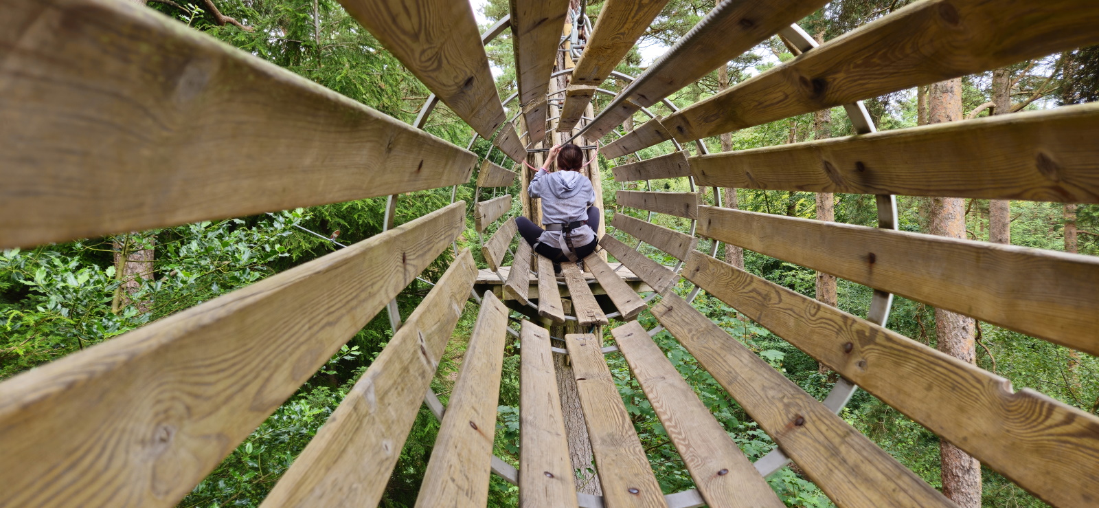 Obstacle at Go Ape Haldon